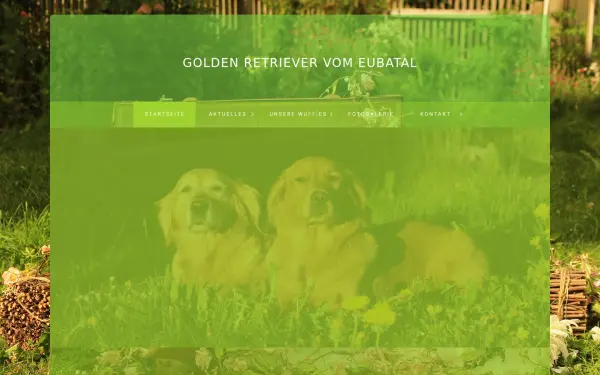 goldenretriever-zwinger.de