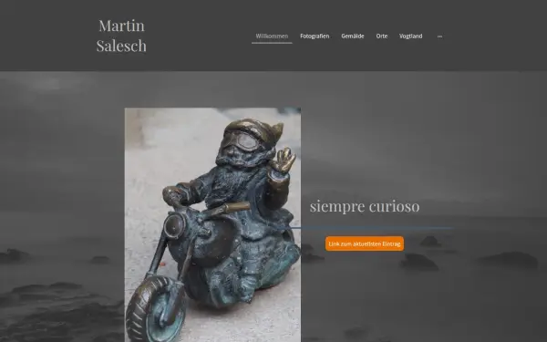 www.dr-salesch.de