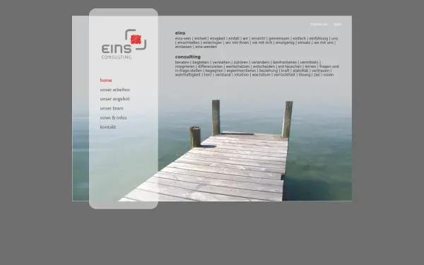 www.eins-consulting.de