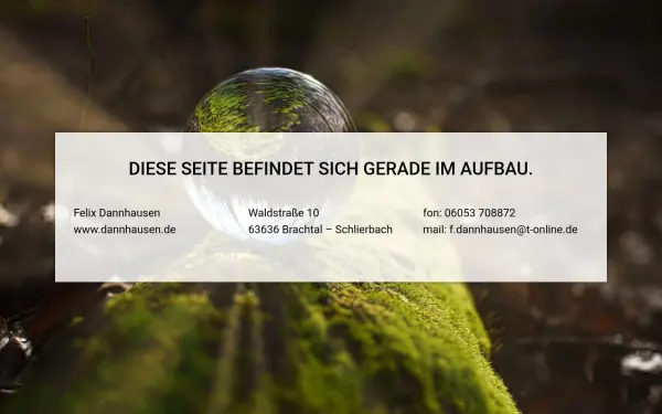 dannhausen.de
