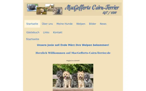 macgefferts-cairn-terrier.de