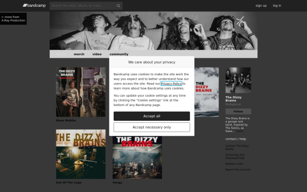 thedizzybrains.bandcamp.com