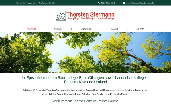 www.baumpflegestermann.de