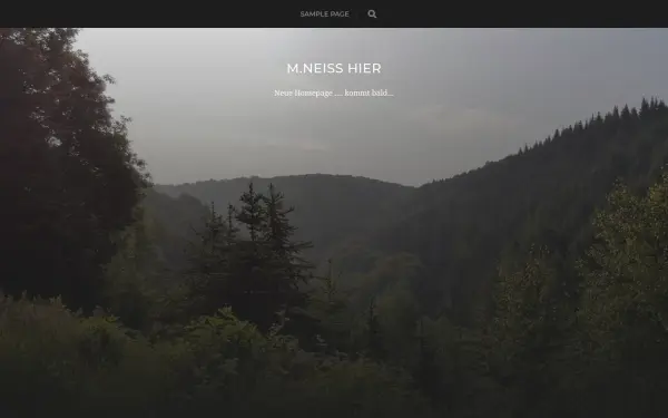 m-neiss.de
