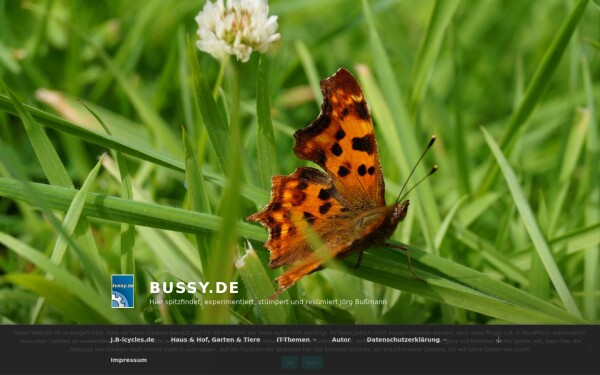 bussy.de