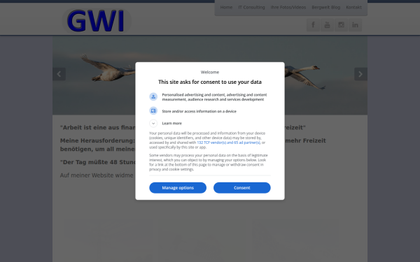 gwi-consulting.de