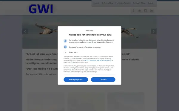 gwi-consulting.de