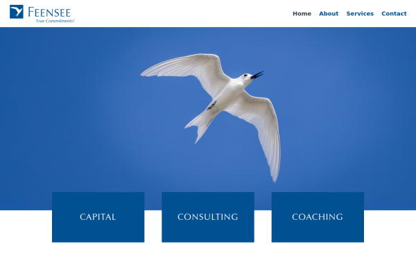 feensee.com