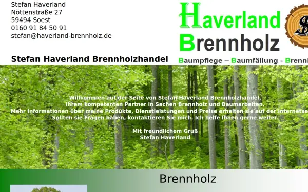 haverland-brennholz.de