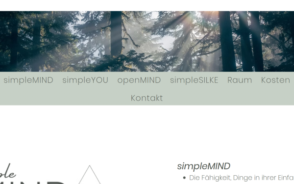 www.simplemind.at