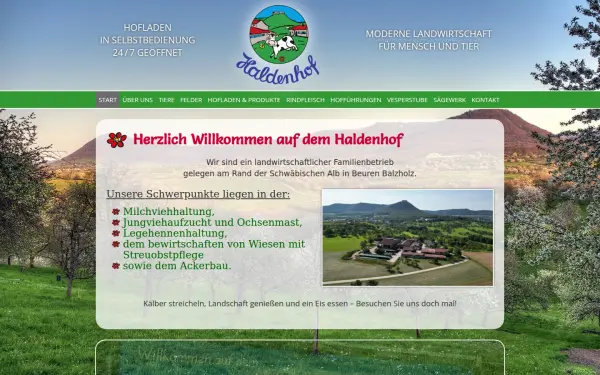 haldenhof-beuren.de
