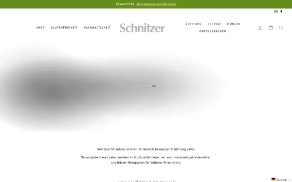 www.schnitzer.eu