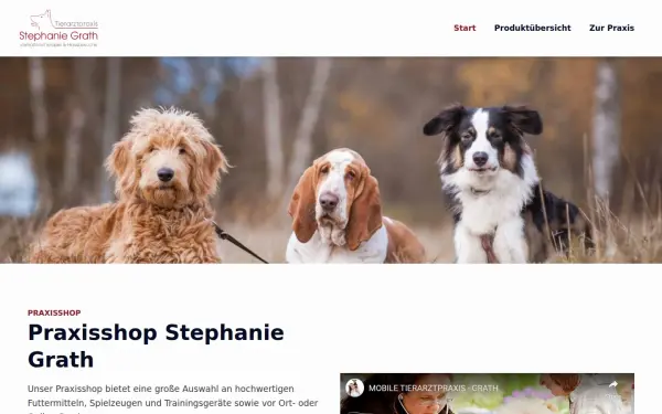 dogstars.de