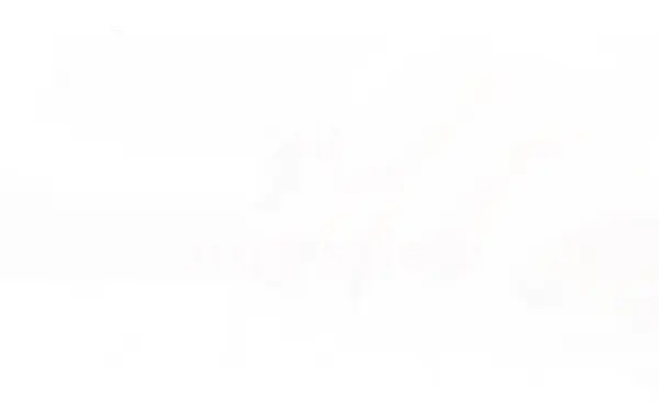 www.anjasziele.de