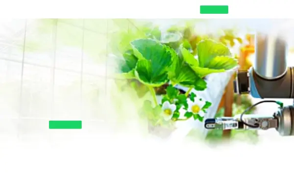 greenfinn.de