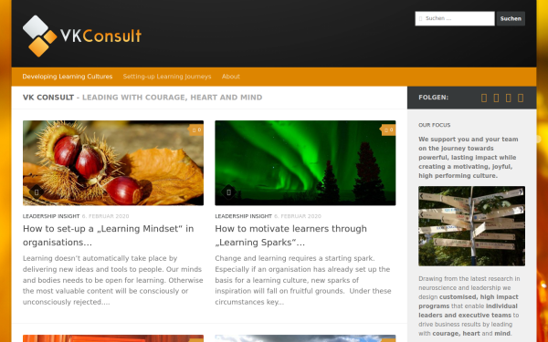 vk-consult.de