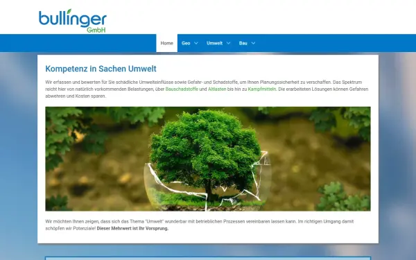 bullinger-gmbh.de