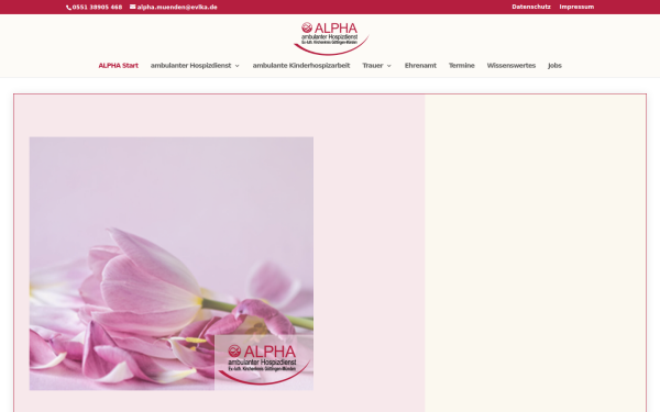 beratungsstelle-alpha.org