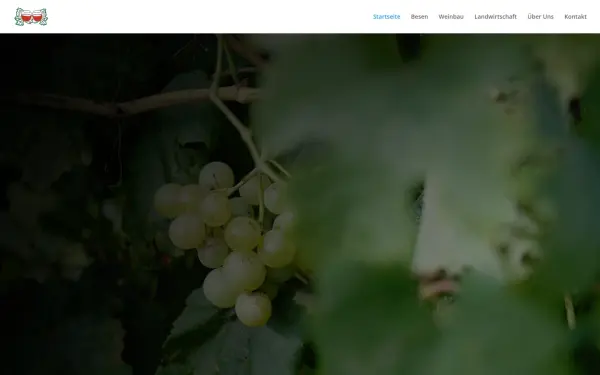 besenwirtschaftlausterer.de