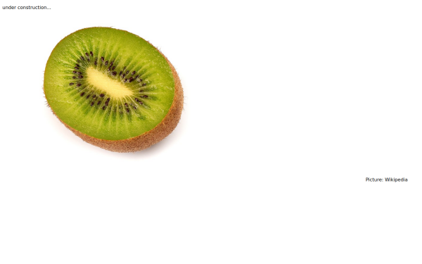 mhdu.de