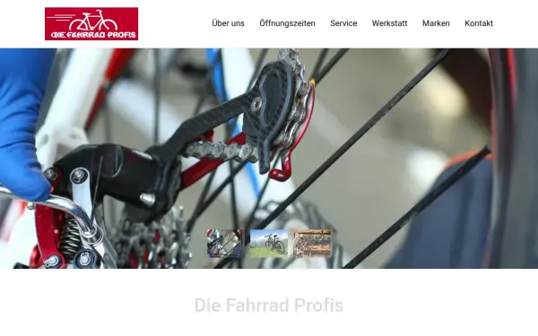 www.diefahrradprofis.de