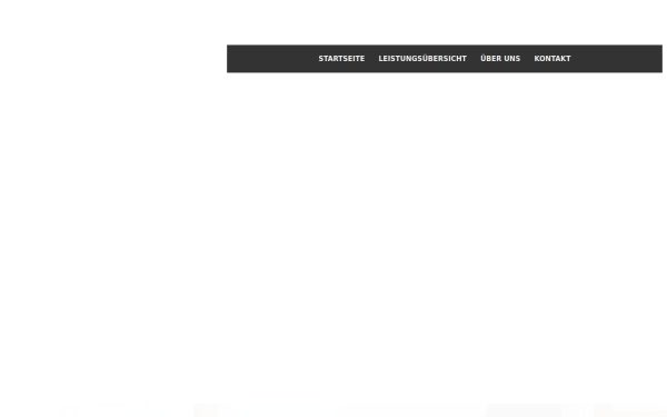 c-s-consultance.de