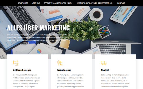 bvim.info