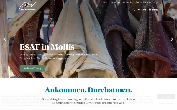 albtalplus.de