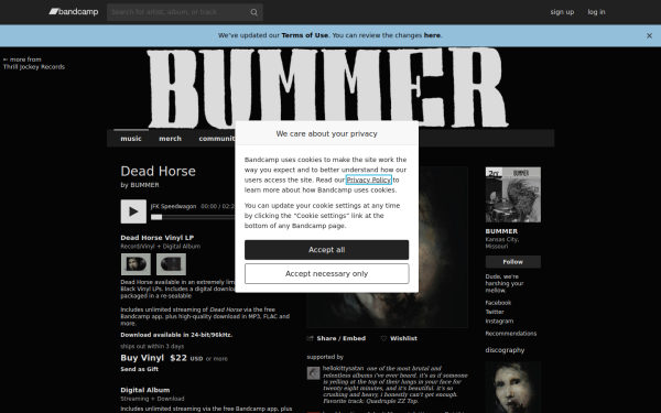 bummerkc.bandcamp.com