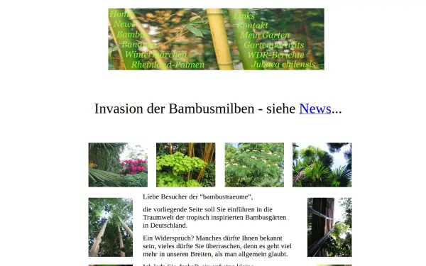 bambustraeume.de