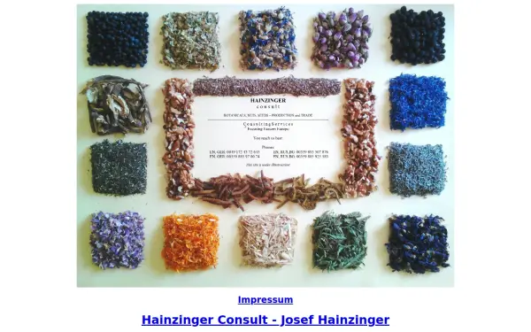 hainzinger-consult.de