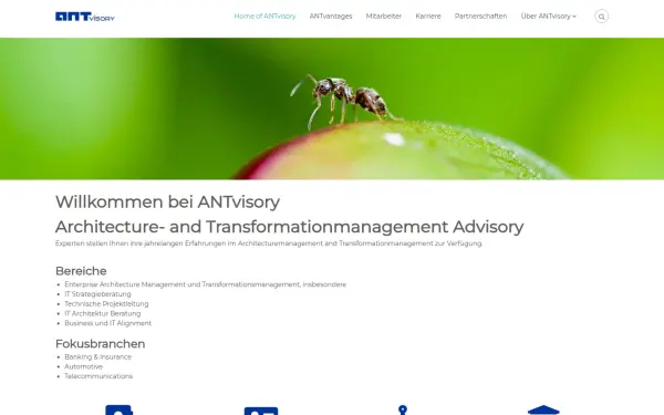 www.antvisory.de