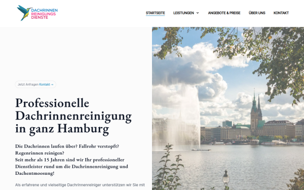 dachrinnen-reinigungs-dienste.de