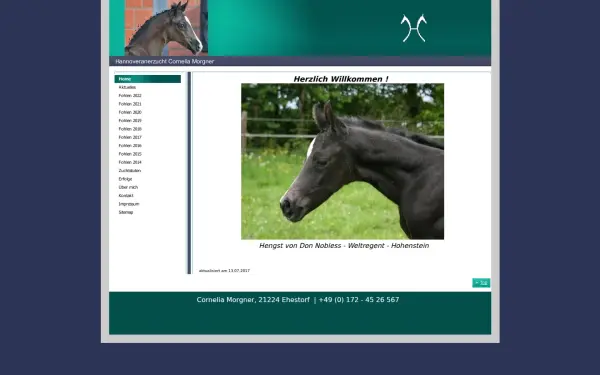 hannoveranerzucht-morgner.de