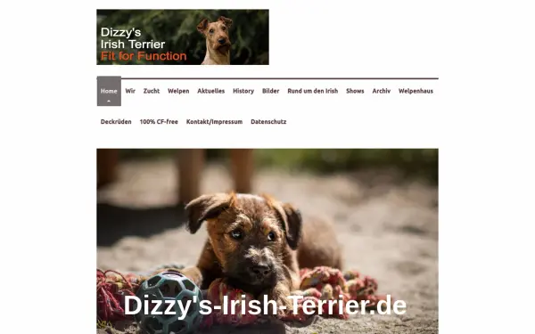 www.dizzys-irish-terrier.de