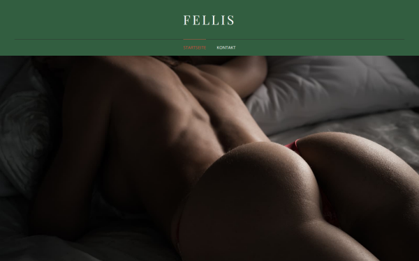www.fellis.at