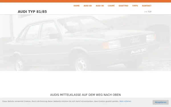 der-audi-90.de