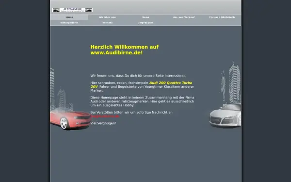 audibirne.de