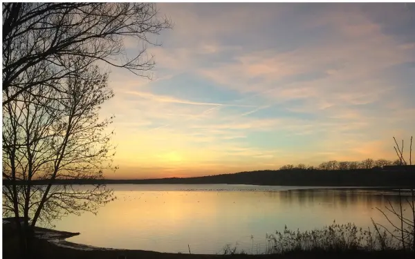 alexandra-marketing.de