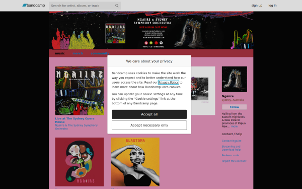 ngaiire.bandcamp.com