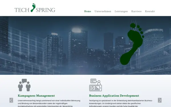 www.techspring.de