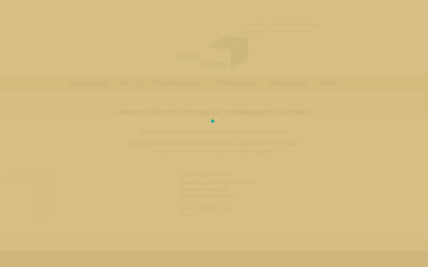 socialinsight.ch