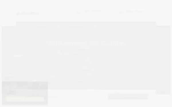 autovermietung-john.de