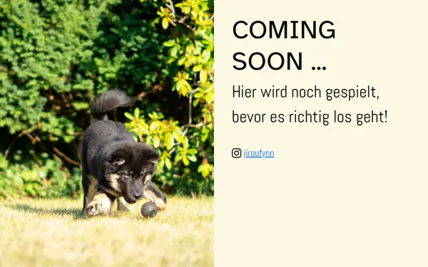 mein-eurasier.de