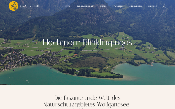 www.moorverein-wolfgangsee.at