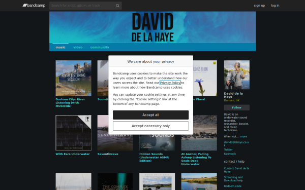 daviddelahaye.bandcamp.com