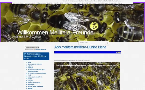 apis-mellifera-mellifera.de