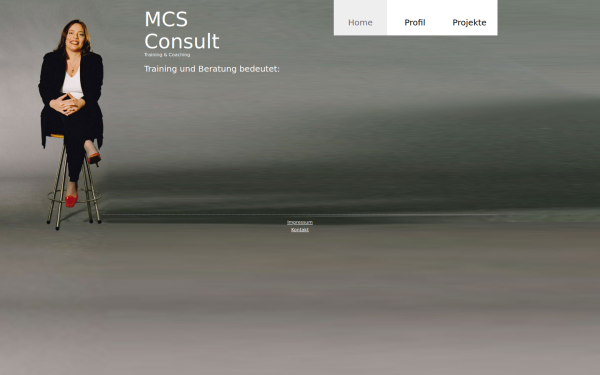 mcs-consult.de