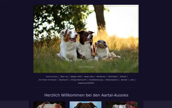 www.aartal-aussies.de