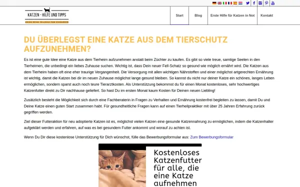 www.katzennothilfe.de
